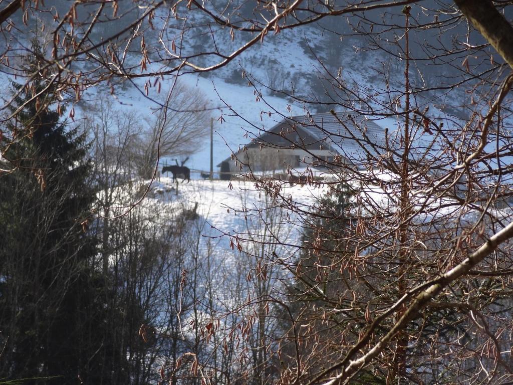 Ferme Auberge A La Colline Ferdrupt Luaran gambar