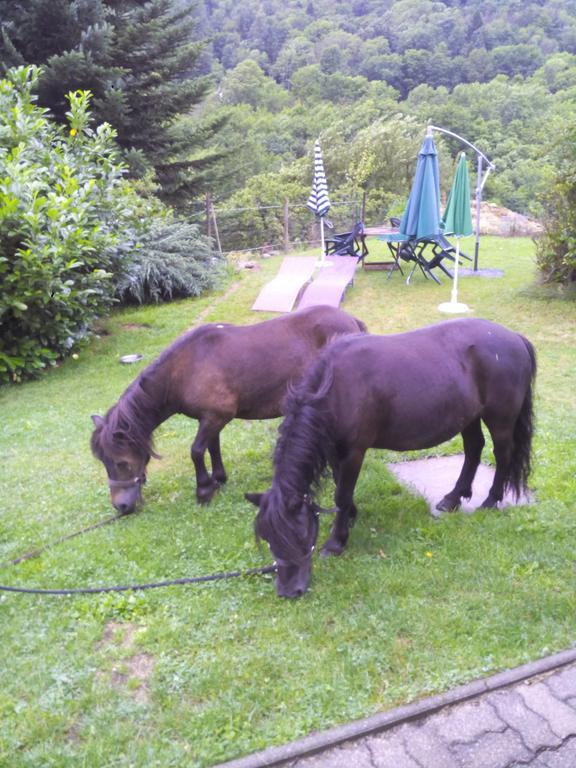 Ferme Auberge A La Colline Ferdrupt Luaran gambar