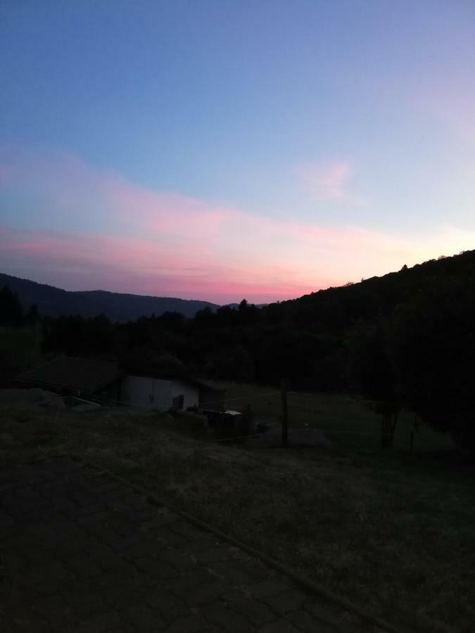 Ferme Auberge A La Colline Ferdrupt Luaran gambar